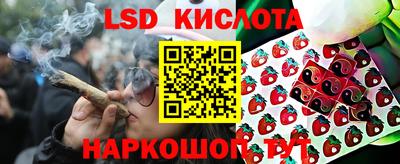 соль ск Будённовск