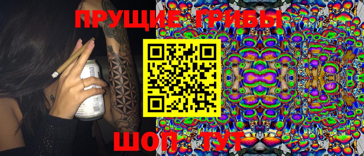 Псилоцибиновые грибы мухоморы  Псилоцибиновые грибы Magic Shrooms  Курган  Вход с VPN 